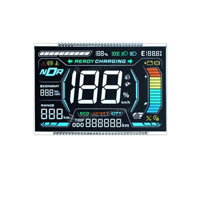 Anpassbares VA-Segment-LCD-Modul