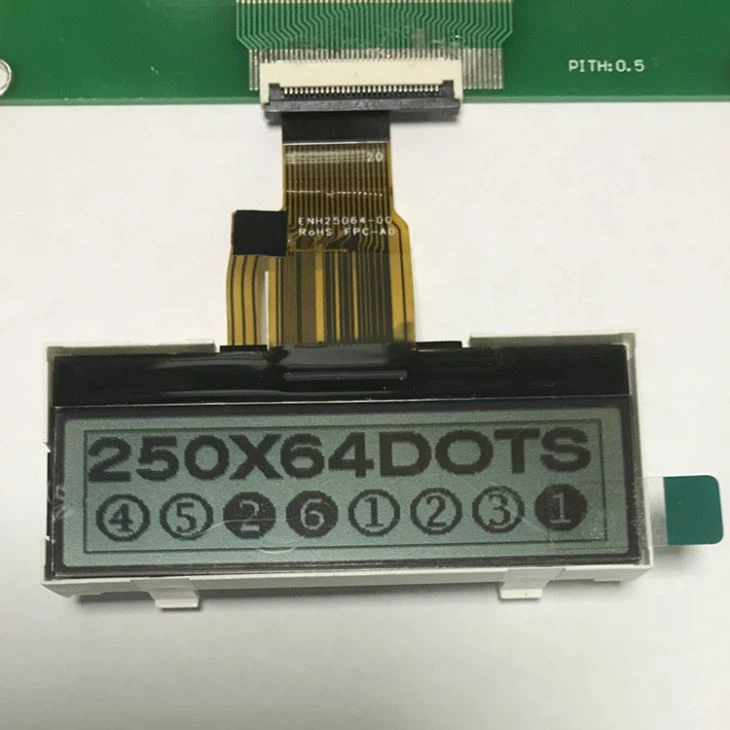 250x64 Graphic LCD With RGB Backlight