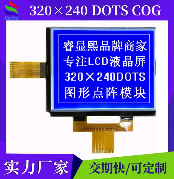 320 * 240 Monochrome STN Blue Display Graphic Hersteller
